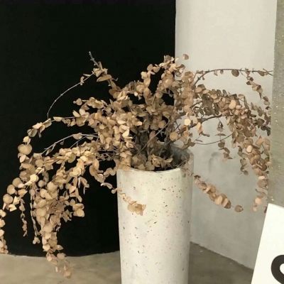 Furry插画细节提升技巧FurryQQ群